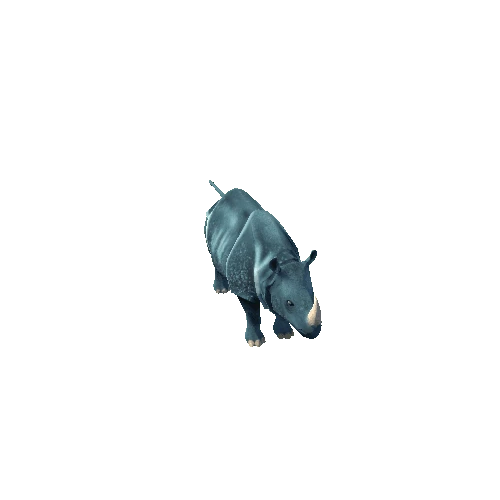 Rhinoceros Sondaicus Blue_All Animation
